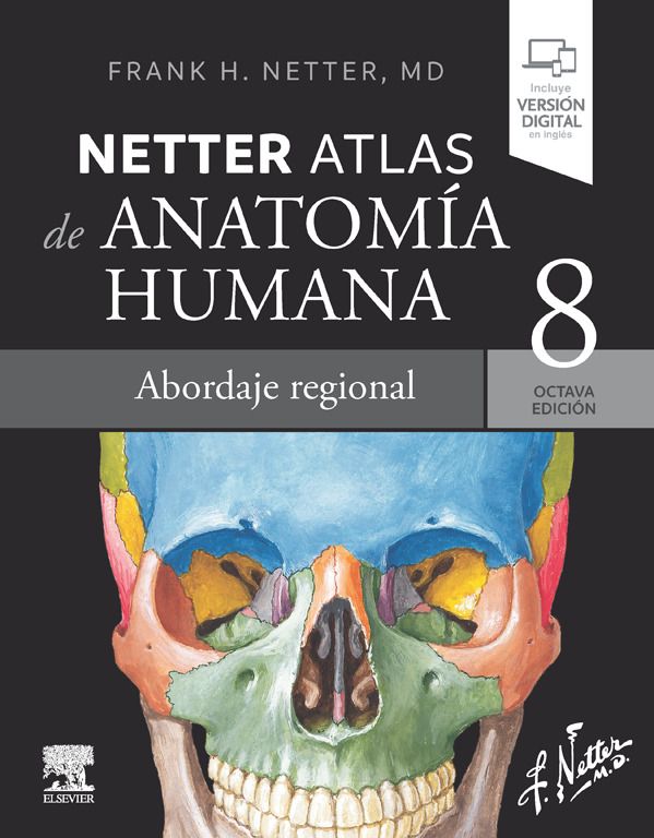 Atlas de Anatomía Humana Netter- Abordaje Regional- Ed. 8