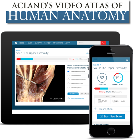 Acland's Anatomía Humana: La solución óptima de aprendizaje anatómico