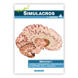 Serie Simulacro Examen
