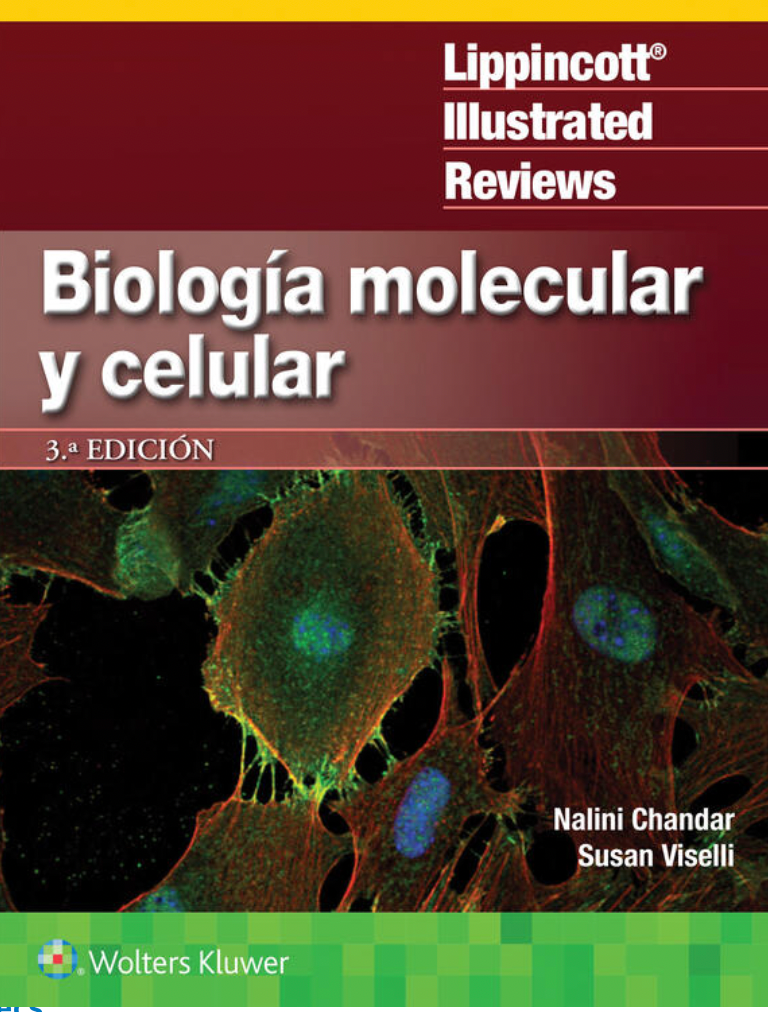 LIR. Biología Molecular y Celular