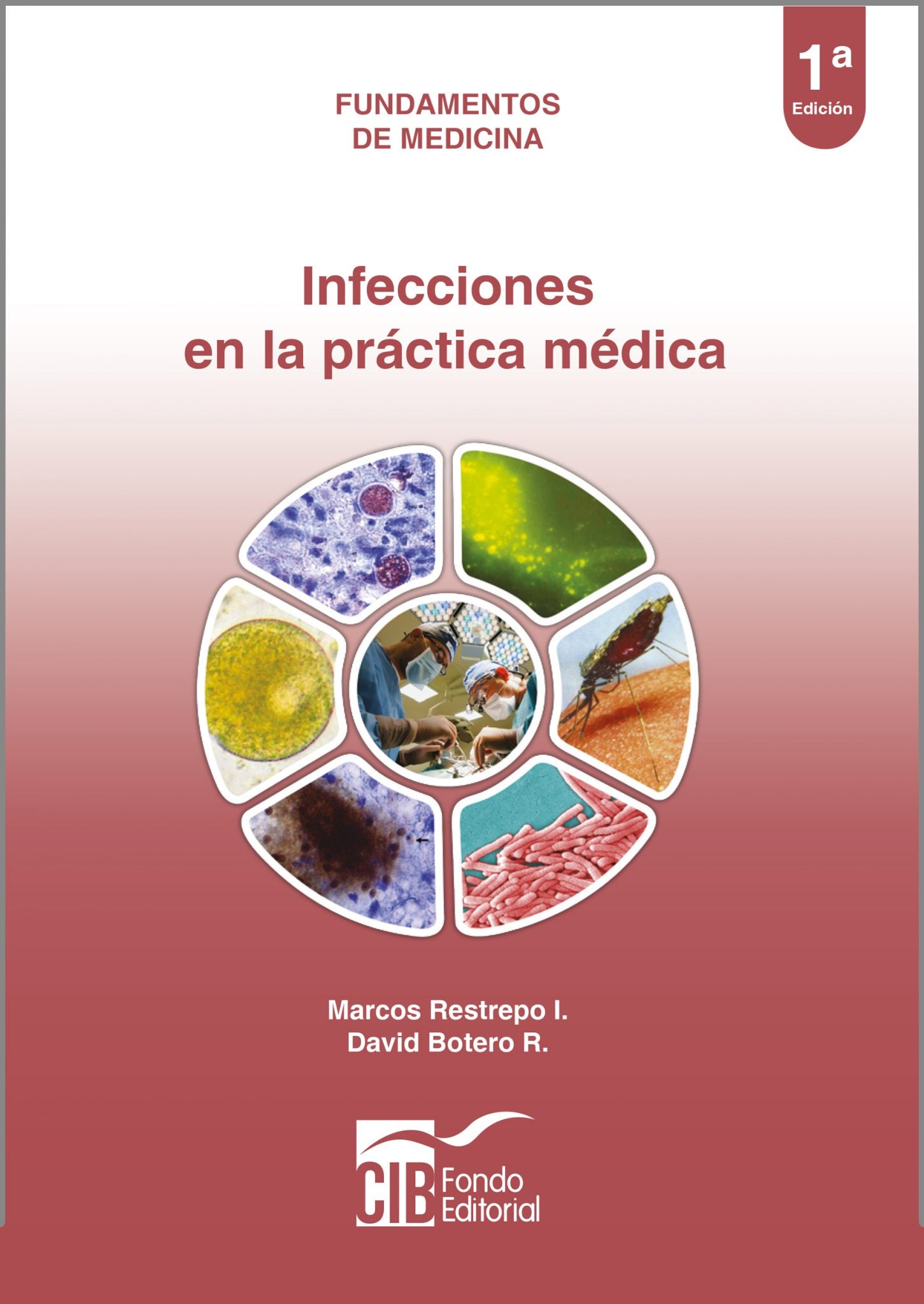 Infecciones en la práctica médica.