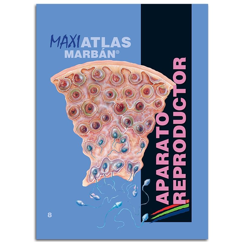 Colección MAXI ATLAS